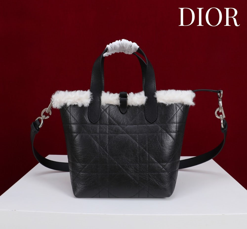 Anum Bags Diorn Luxury Bag --114886