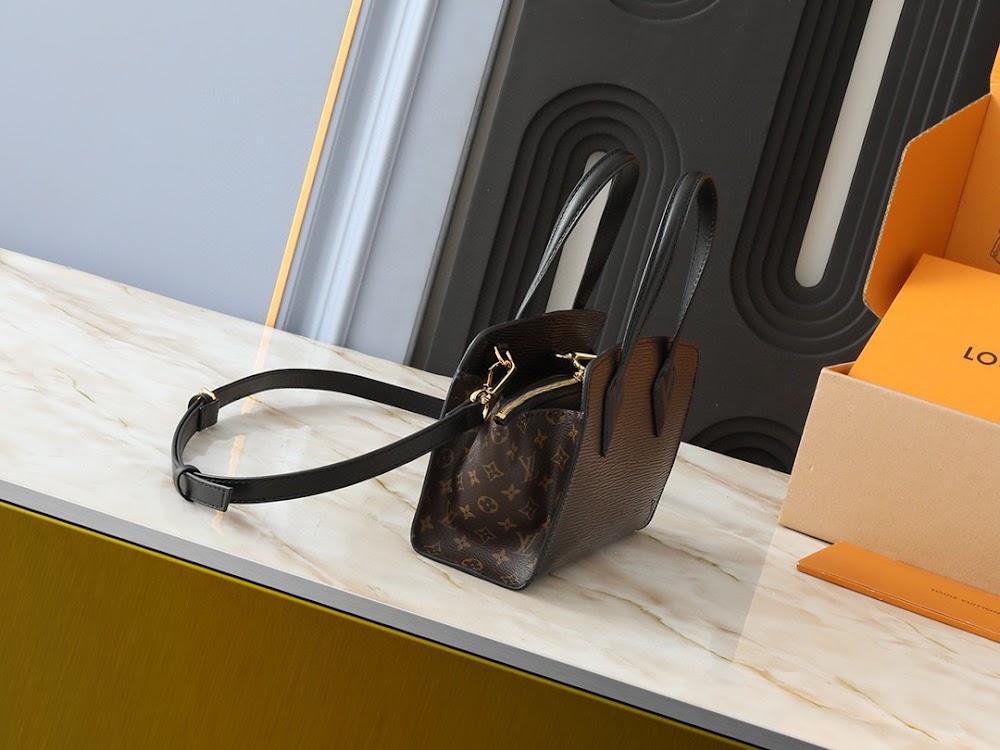 Anum Bags LVn Luxury Bag --80614