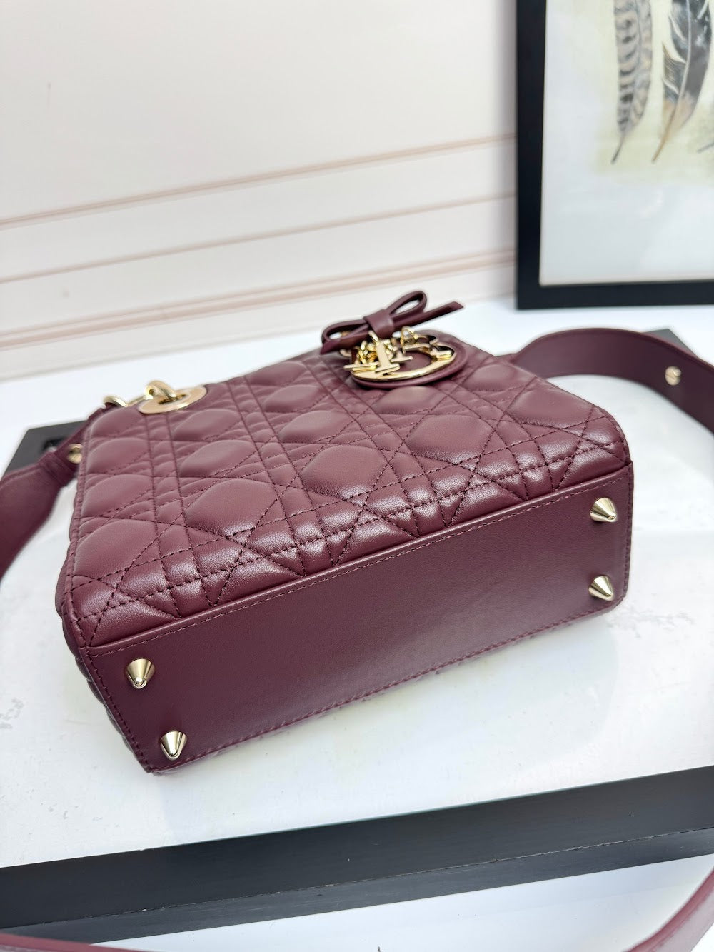 Anum Bags Diorn Luxury Bag --114945