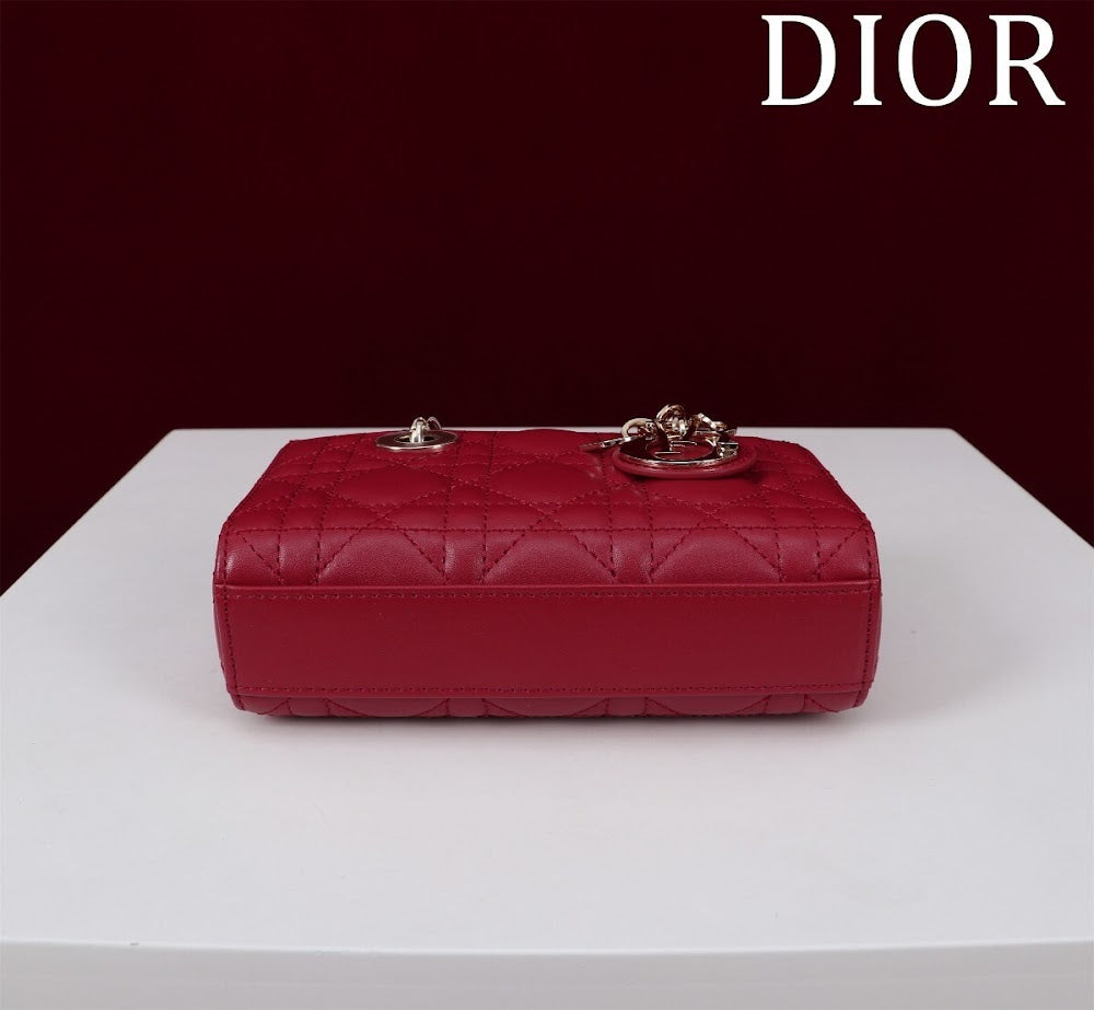 Ezyycart Bags Diorn Luxury Bag --116455