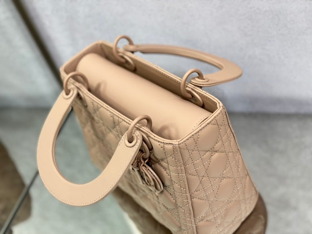 Ezyycart Bags Diorn Luxury Bag --116153
