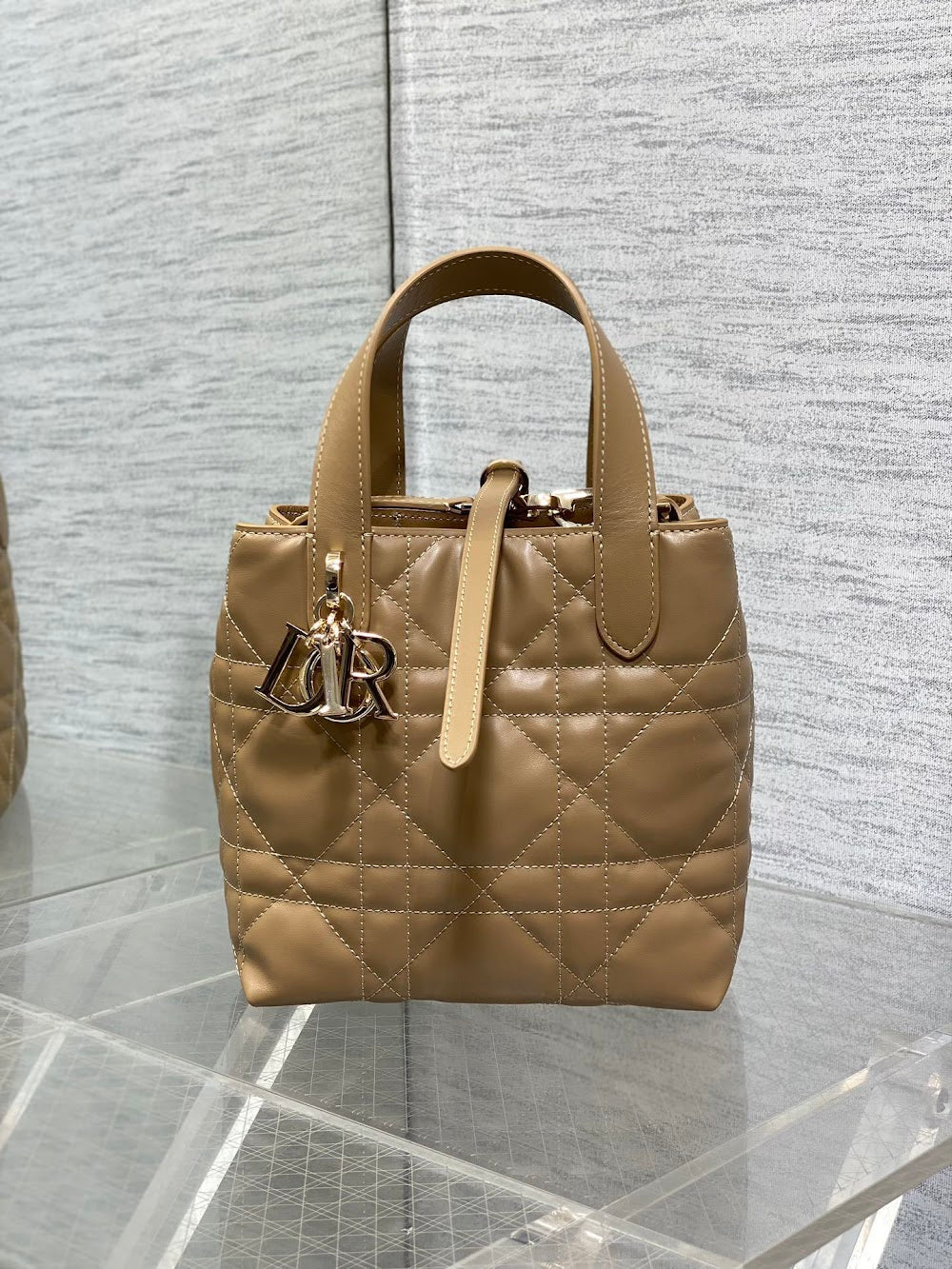 Ezyycart Bags Diorn Luxury Bag --115664