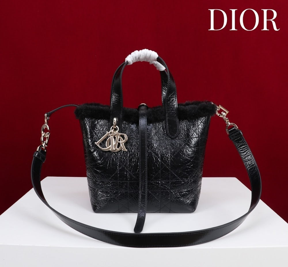 Ezyycart Bags Diorn Luxury Bag --116122