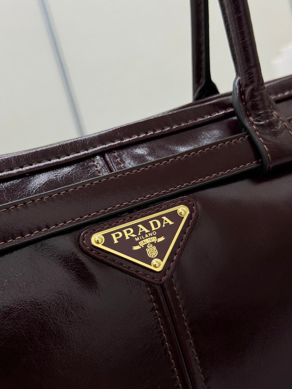 Ezyycart Bags Pradn Luxury Bag --101368