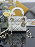 Ezyycart Bags Diorn Luxury Bag --115900