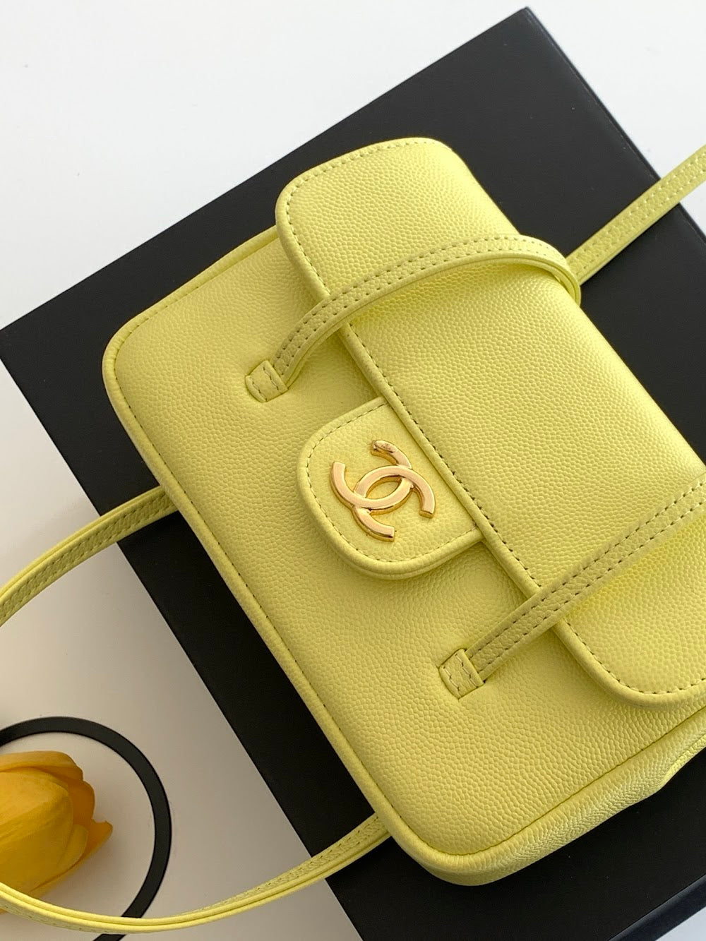 Anum Bags CHn Luxury Bag --113899