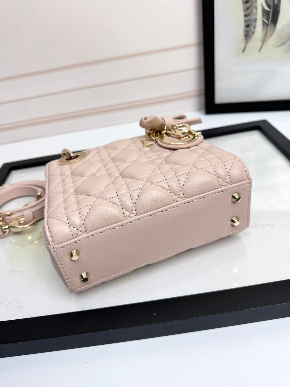 Anum Bags Diorn Luxury Bag --114953