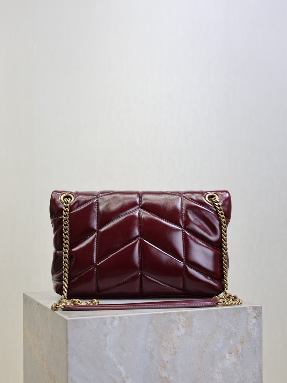 Ezyycart Bags YSLn Luxury Bag --119719
