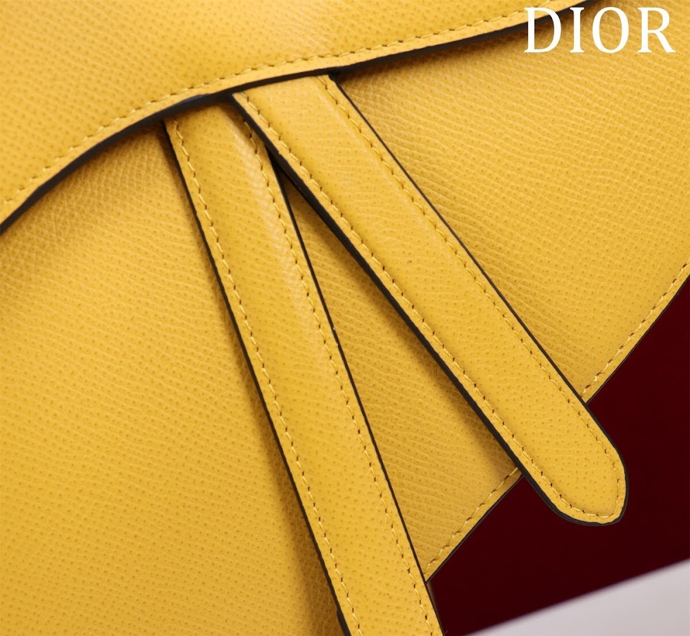 Ezyycart Bags Diorn Luxury Bag --116493