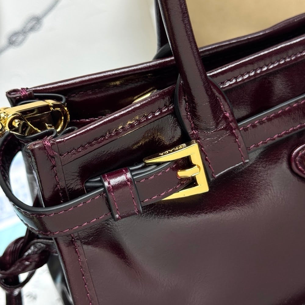 Ezyycart Bags Pradn Luxury Bag --101718