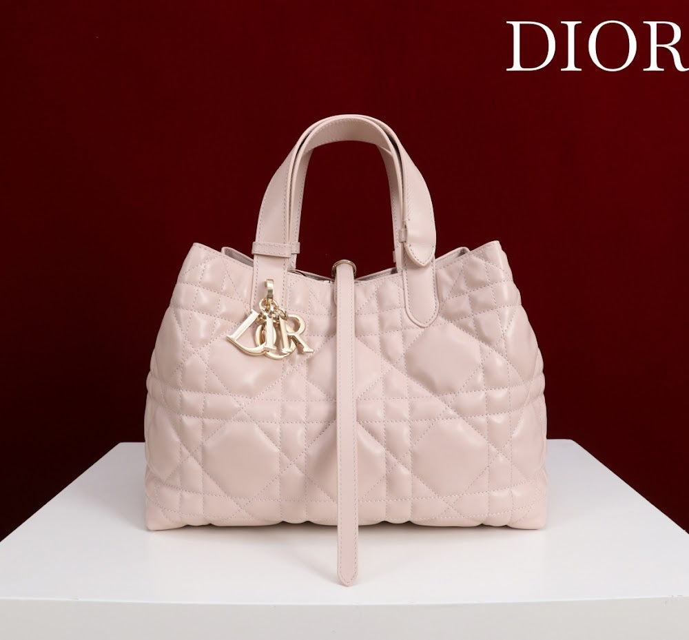 Ezyycart Bags Diorn Luxury Bag --115617