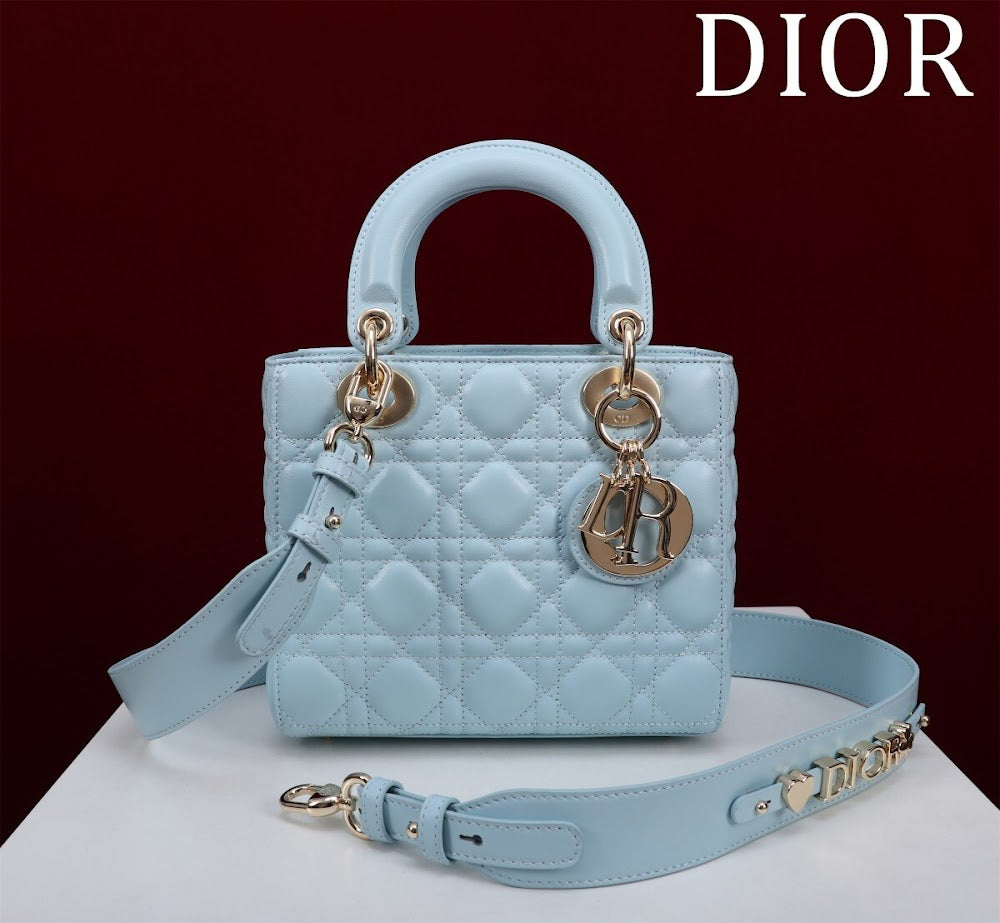 Ezyycart Bags Diorn Luxury Bag --115928