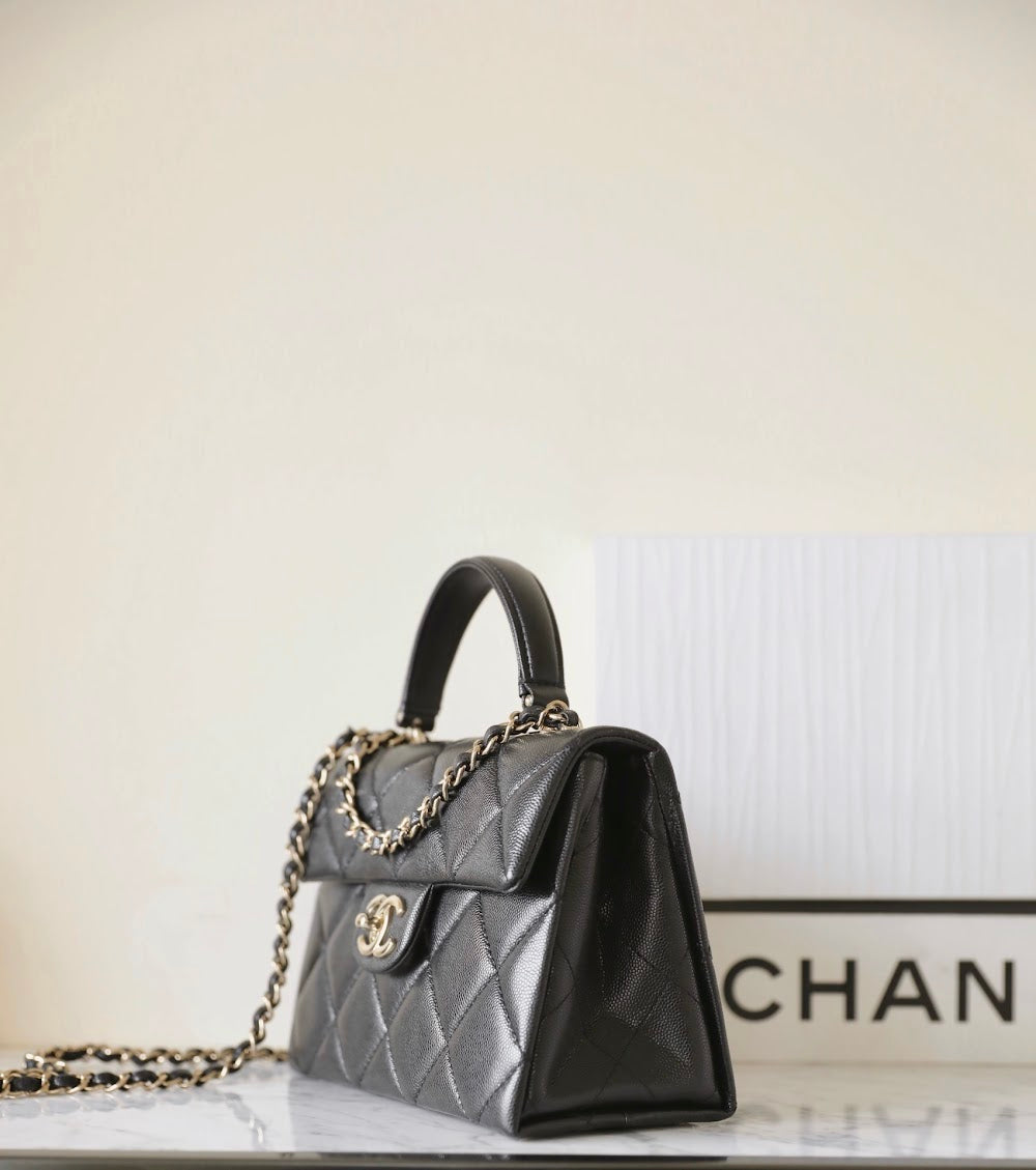 new-designer-premium-bags-nm10147