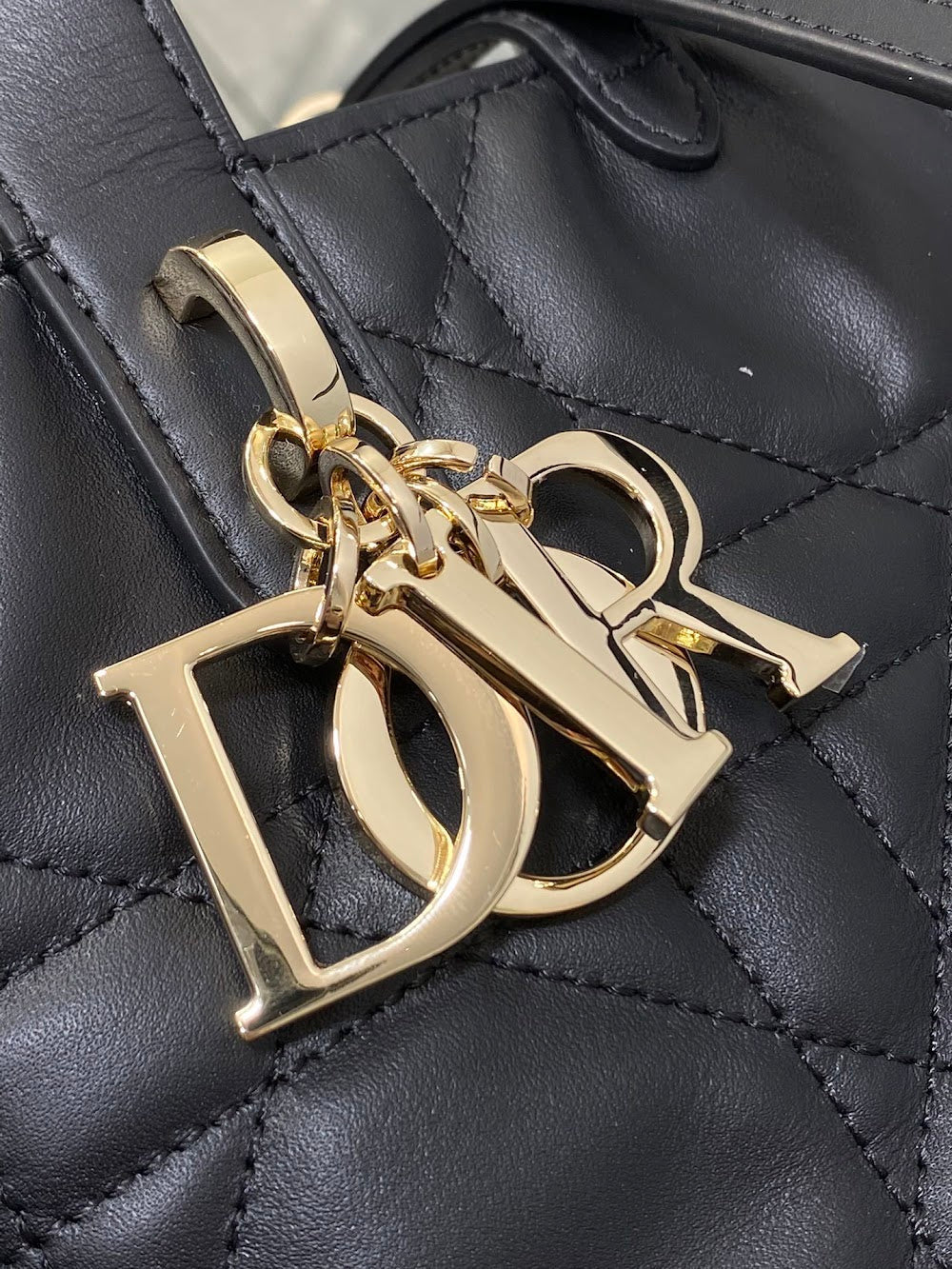 Ezyycart Bags Diorn Luxury Bag --115659