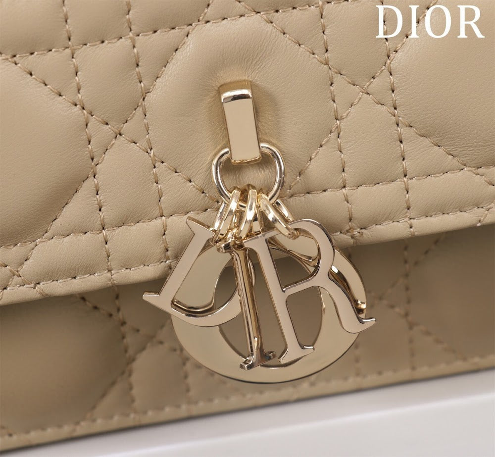 Ezyycart Bags Diorn Luxury Bag --116306