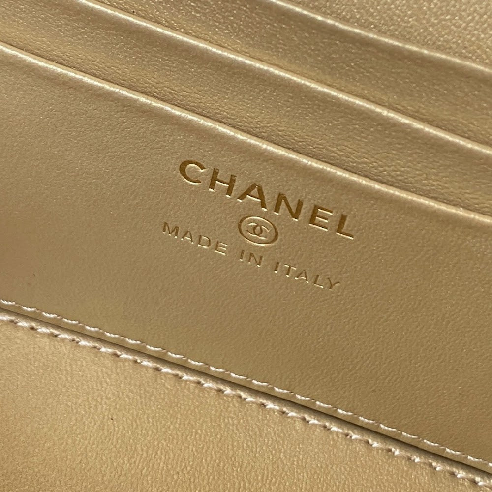 Anum Bags CHn Luxury Bag --112824