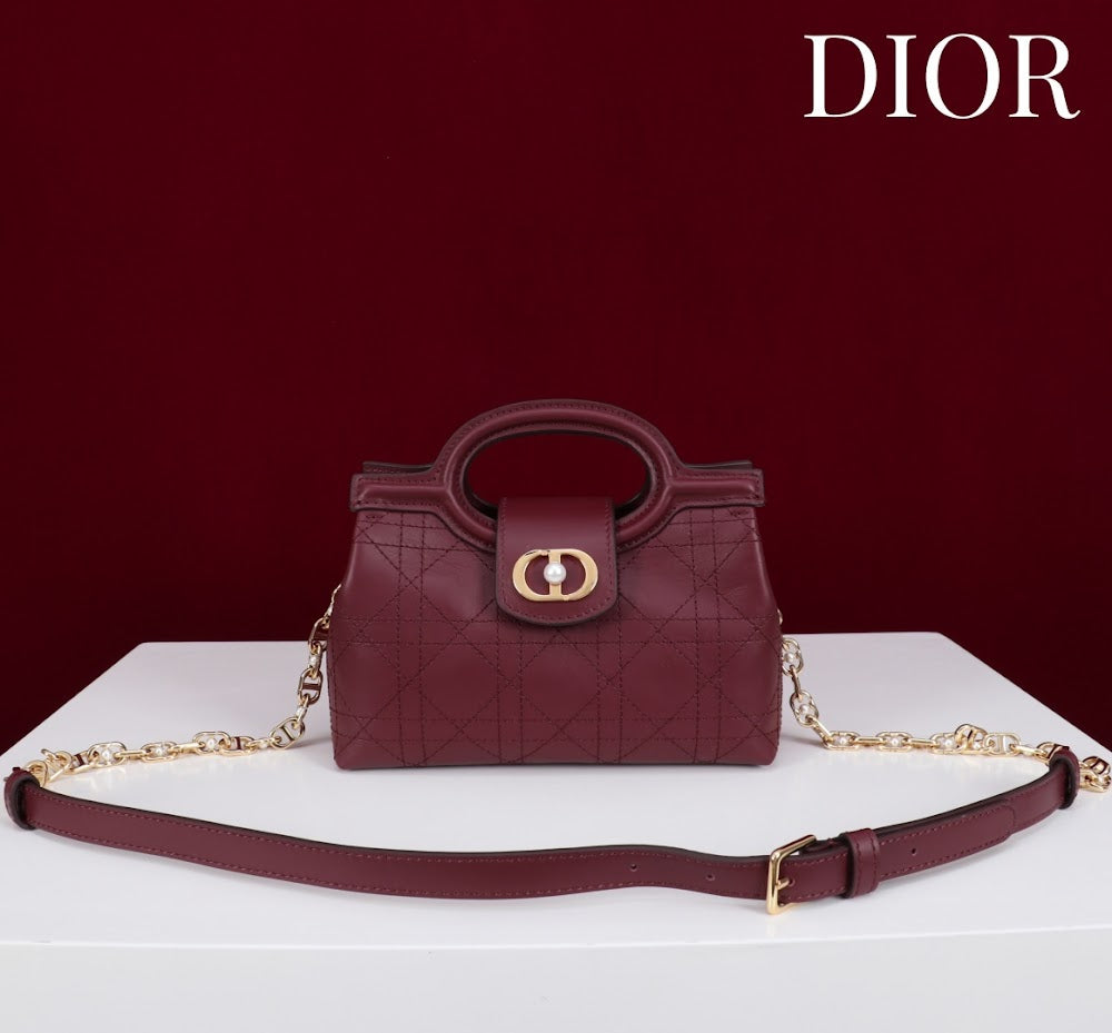 Anum Bags Diorn Luxury Bag --114561