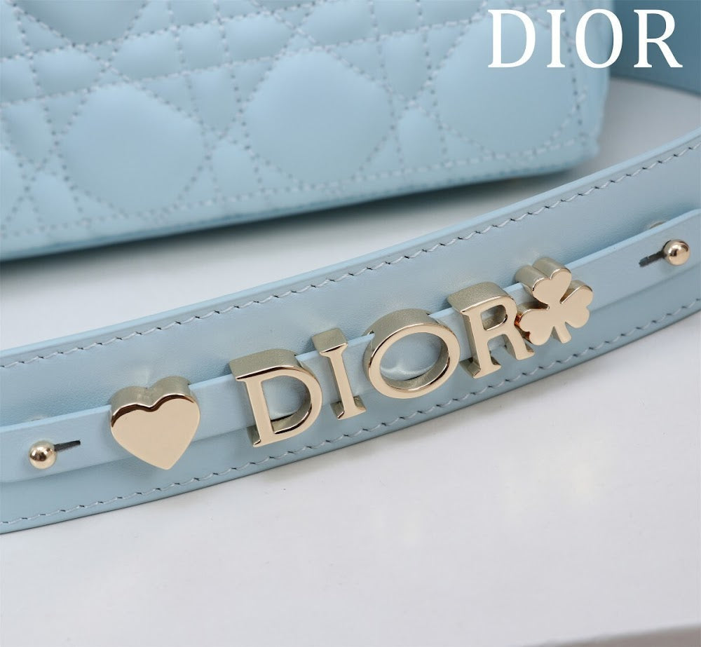 Ezyycart Bags Diorn Luxury Bag --115928