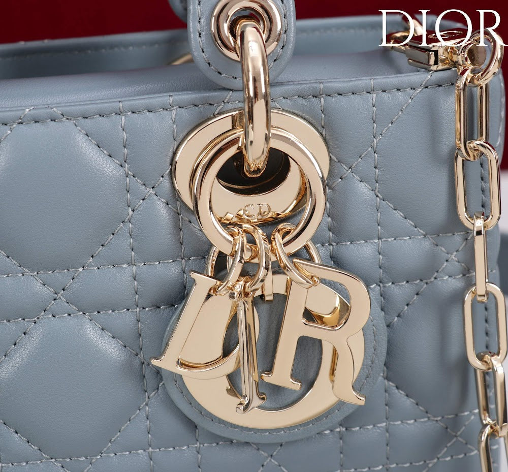 Ezyycart Bags Diorn Luxury Bag --115420