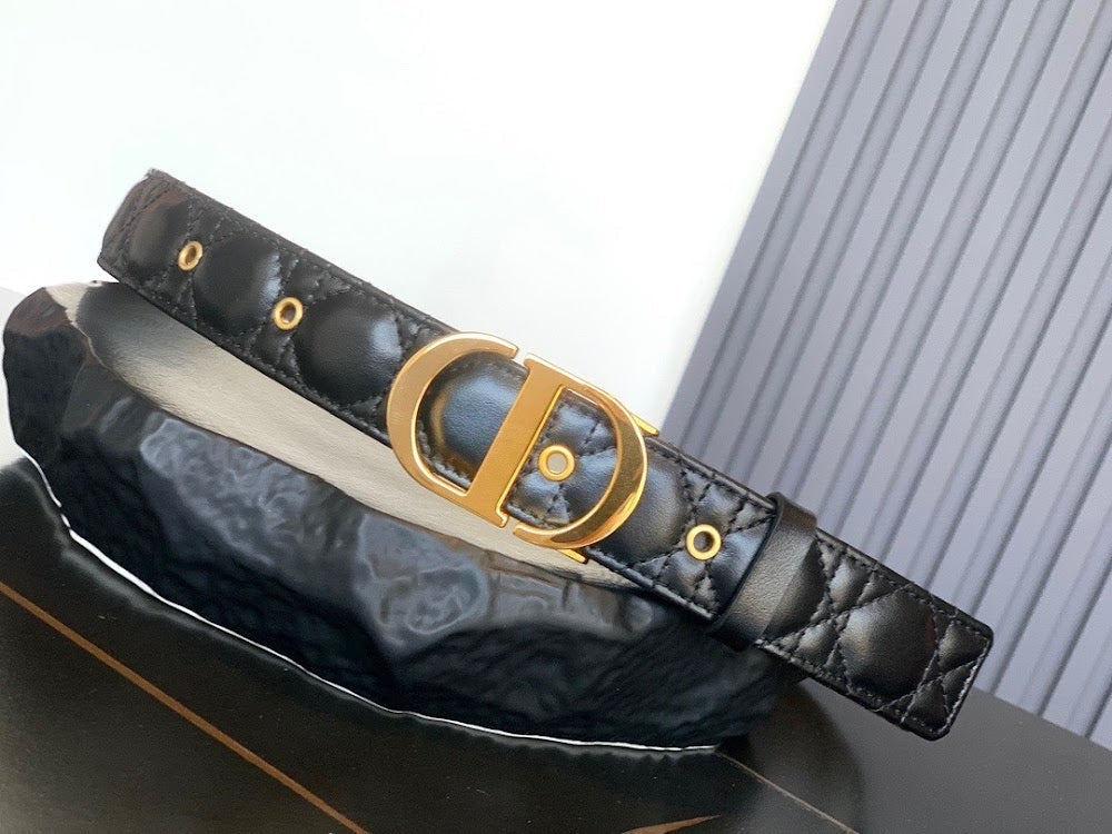 Anum Bags Diorn Luxury Belt --104992