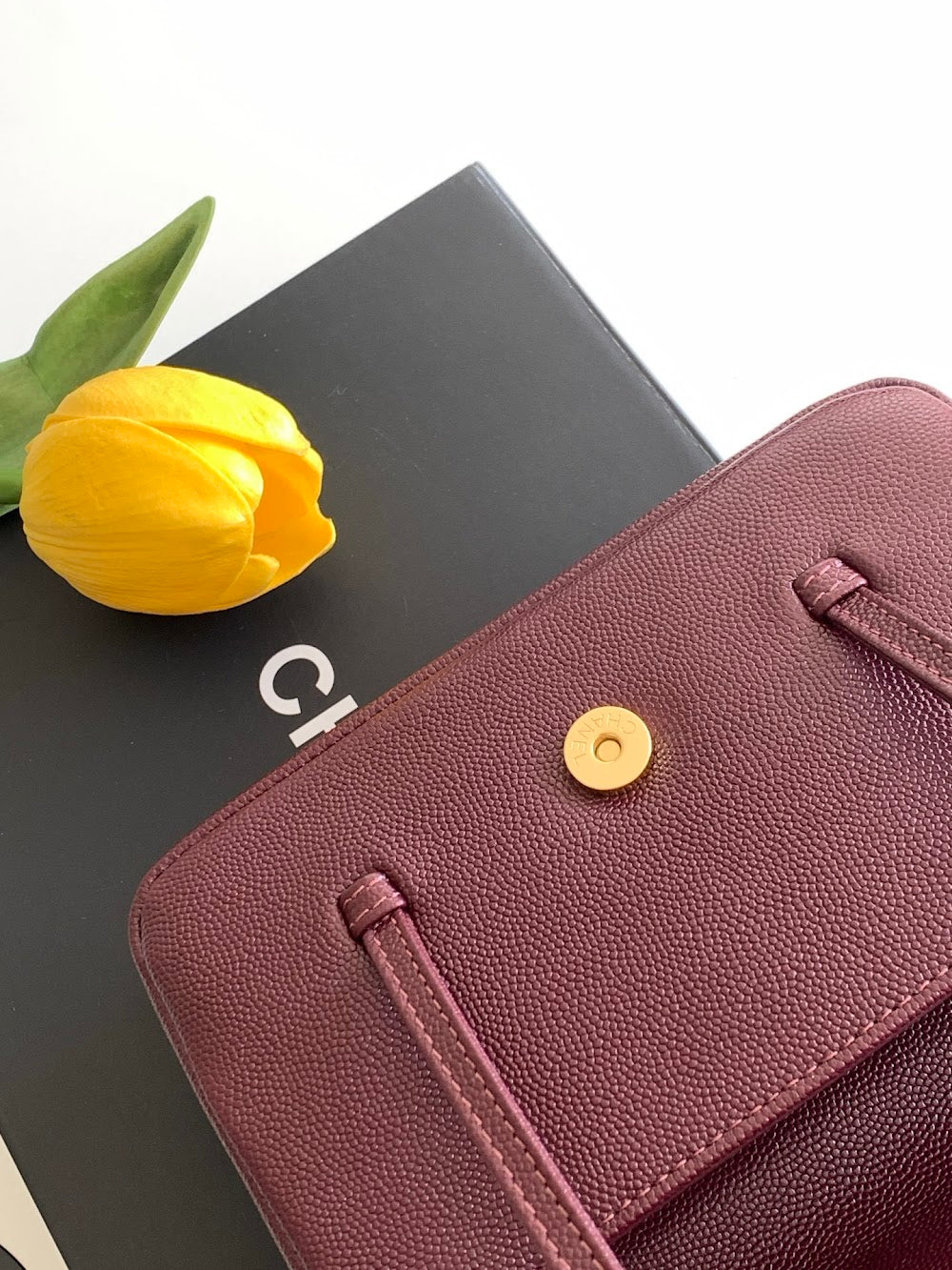 Anum Bags CHn Luxury Bag --113854