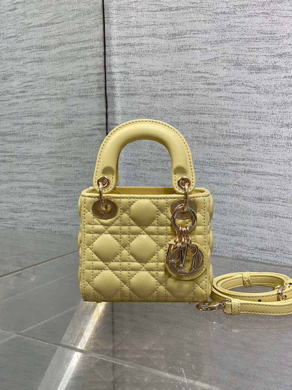 Anum Bags Diorn Luxury Bag --114981