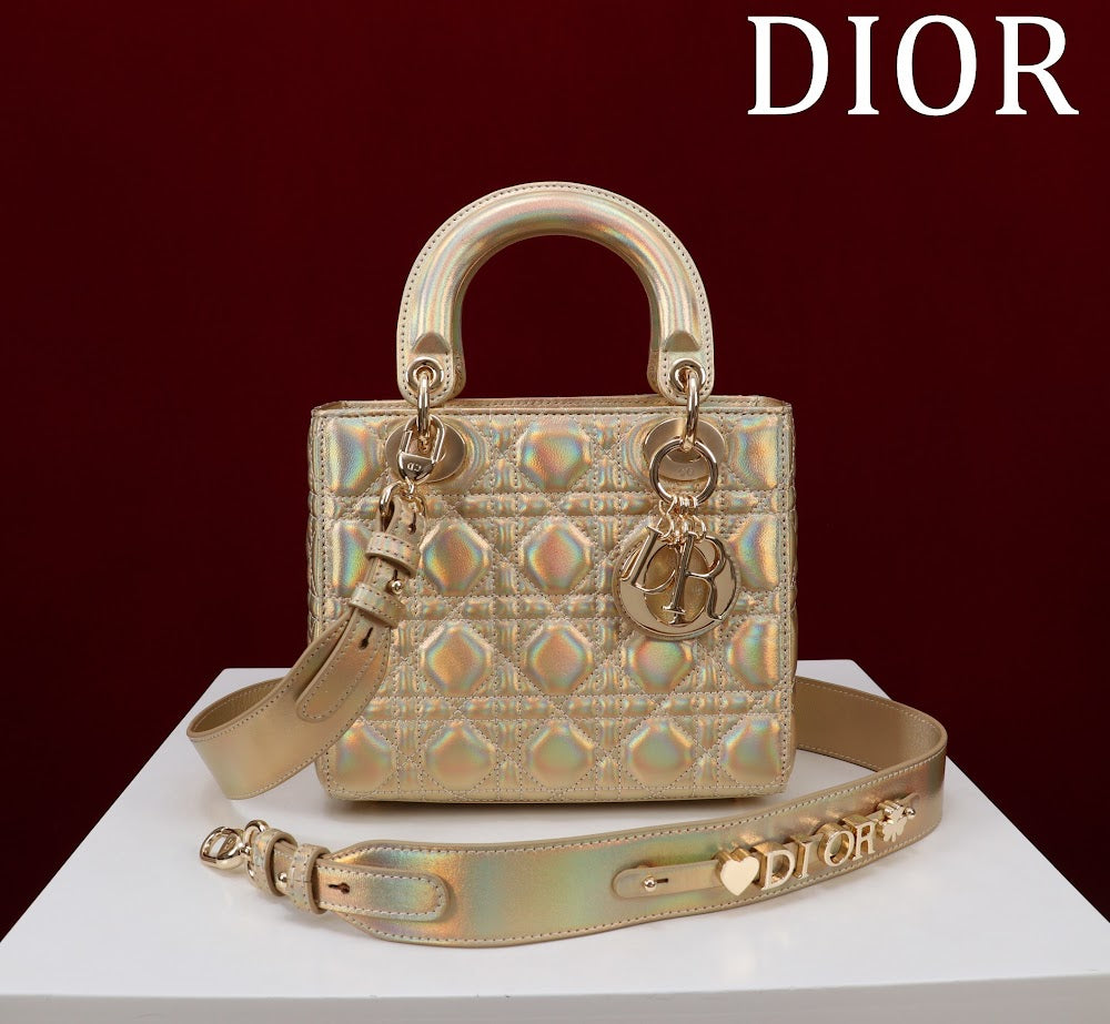 Ezyycart Bags Diorn Luxury Bag --115942