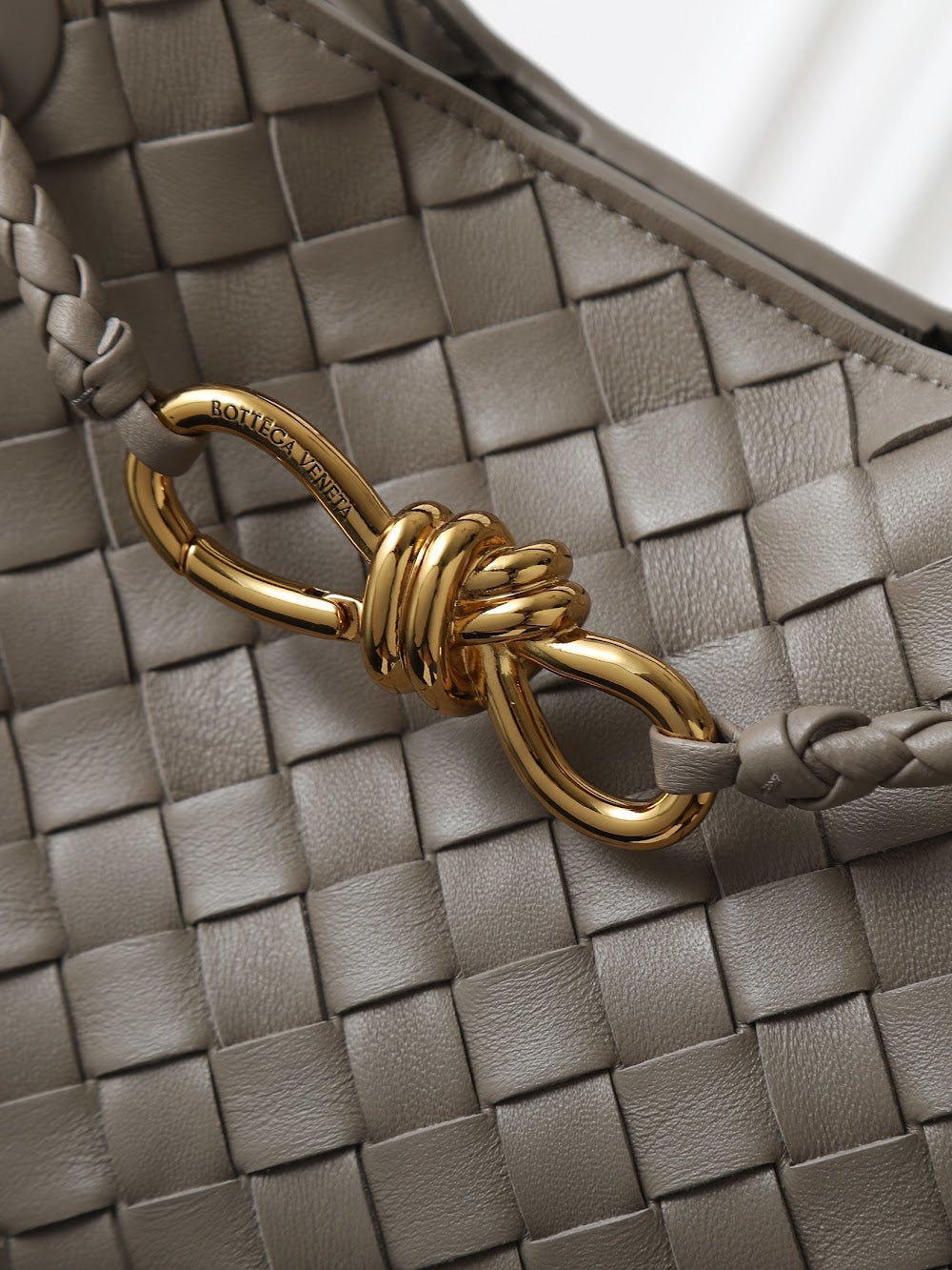 Ezyycart Bags Bottegan Luxury Bag --91297