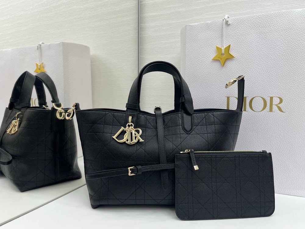 Ezyycart Bags Diorn Luxury Bag --115389