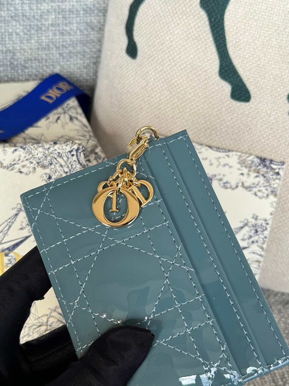 Anum Bags Diorn Luxury Bag --114645