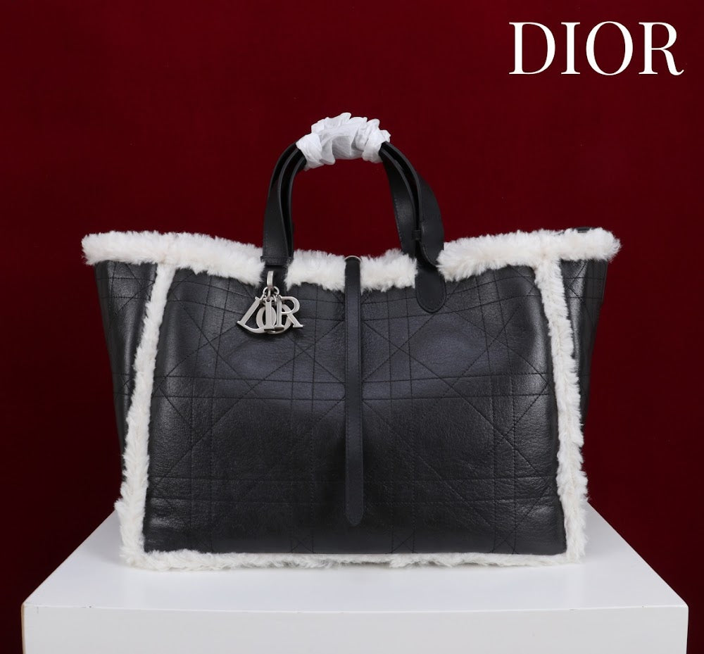 Anum Bags Diorn Luxury Bag --114890