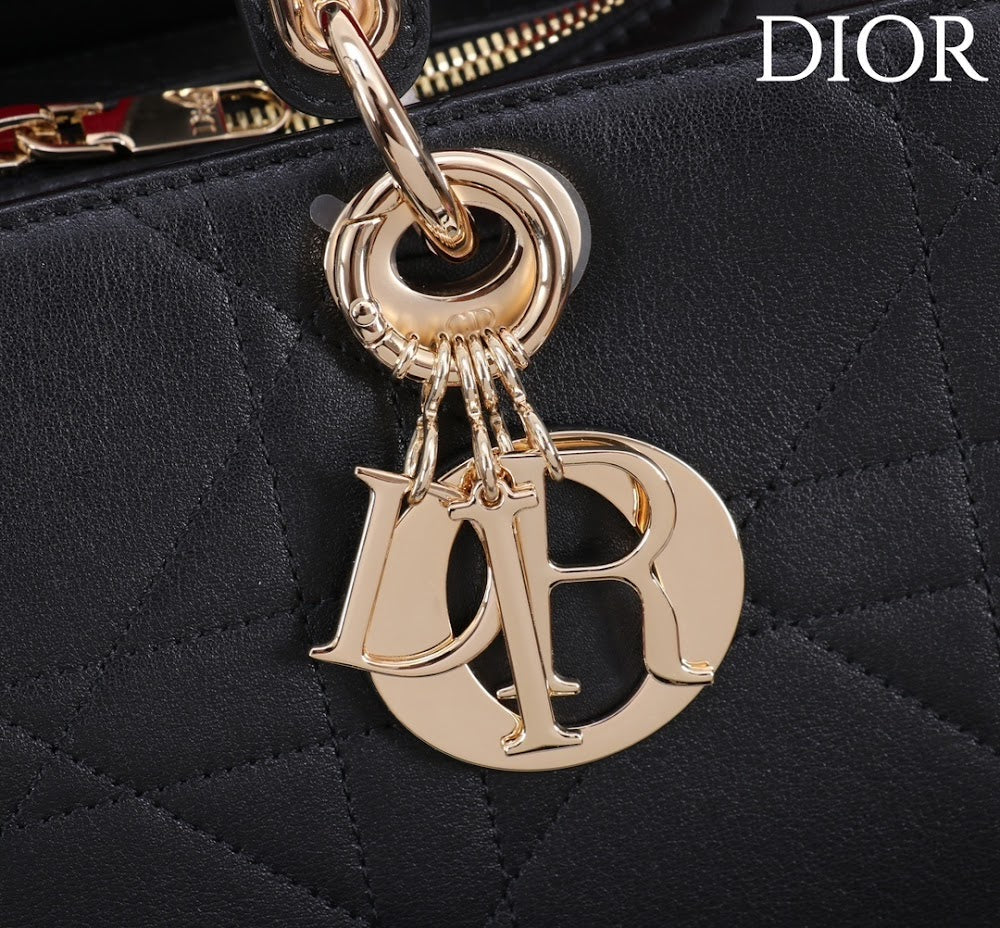 Ezyycart Bags Diorn Luxury Bag --115379