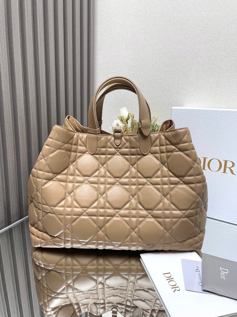 Ezyycart Bags Diorn Luxury Bag --116431