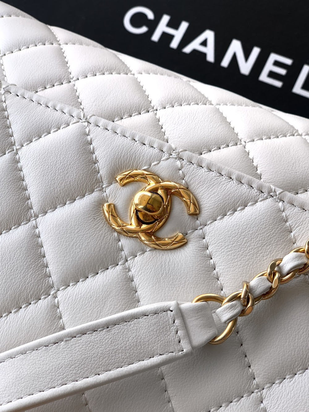 Anum Bags CHn Luxury Bag --113972
