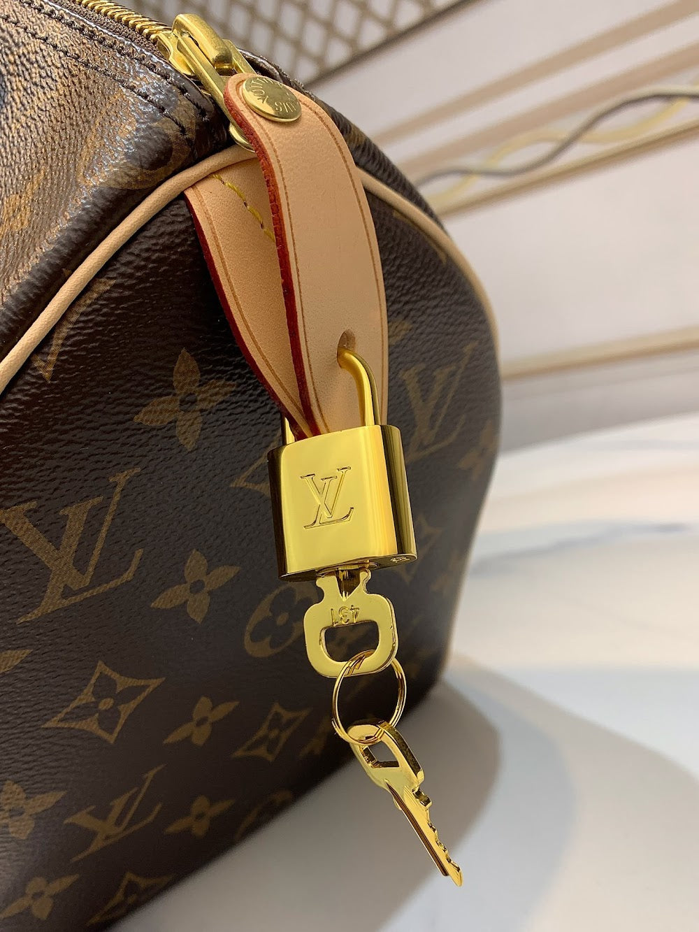 Ezyycart Bags ln Luxury Bag --58045