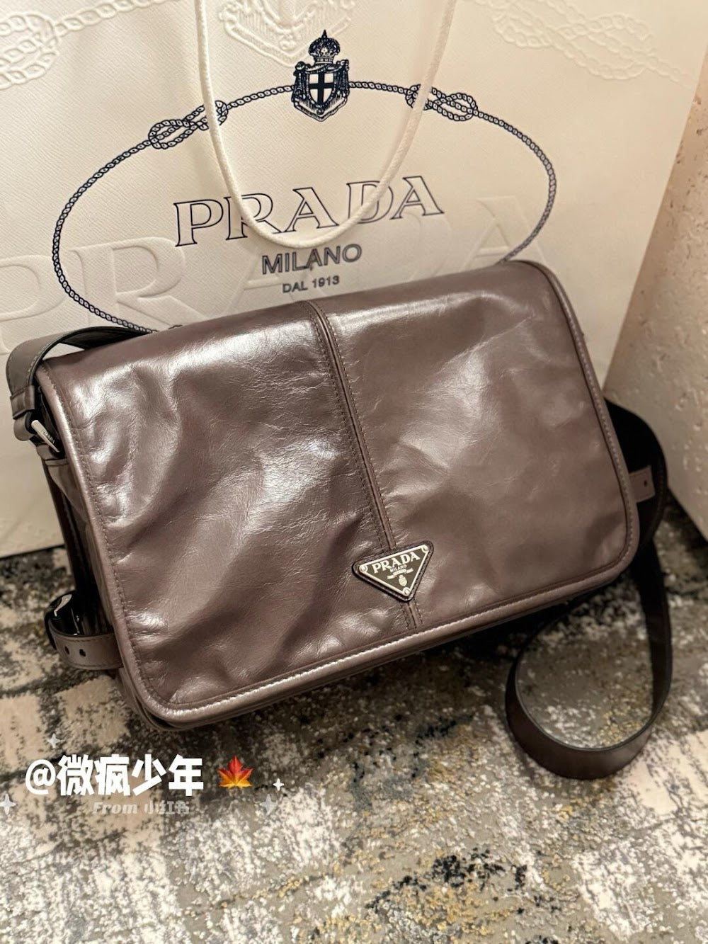 Ezyycart Bags Pradn Luxury Bag --102950