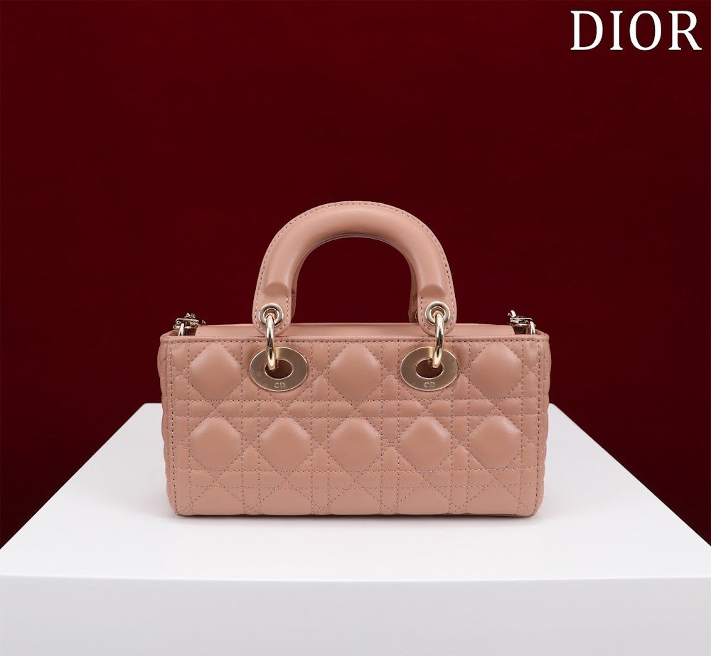 Anum Bags Diorn Luxury Bag --114748