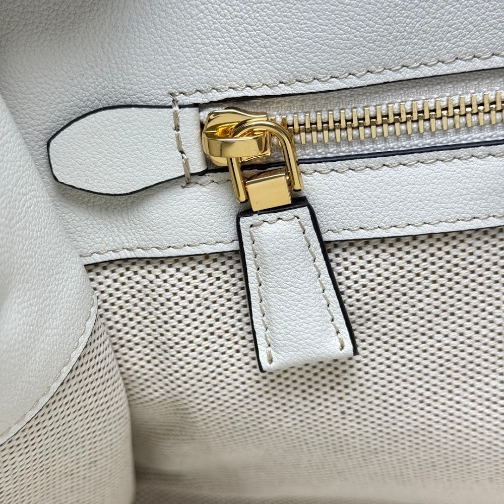 Ezyycart Bags Pradn Luxury Bag --102268