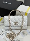 new-luxury-designer-bags-nm20098