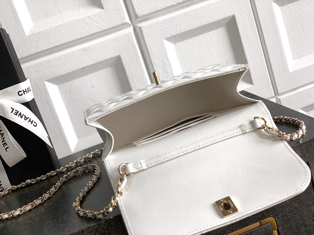 Anum Bags CHn Luxury Bag --113957