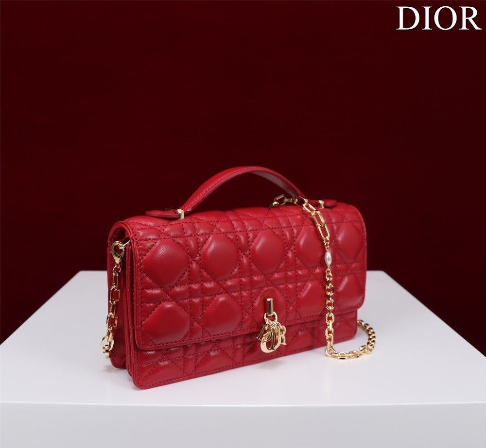 Ezyycart Bags Diorn Luxury Bag --116231