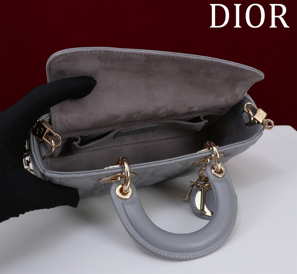 Anum Bags Diorn Luxury Bag --114724