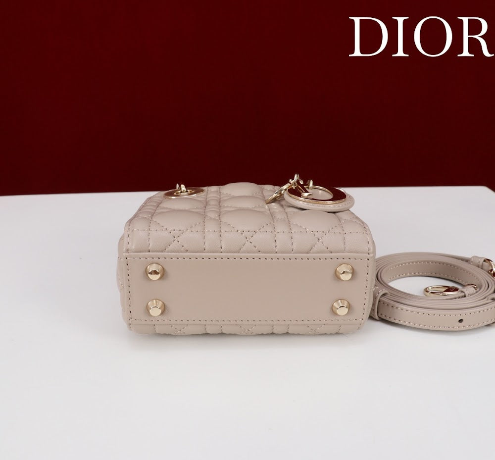 Ezyycart Bags Diorn Luxury Bag --116536