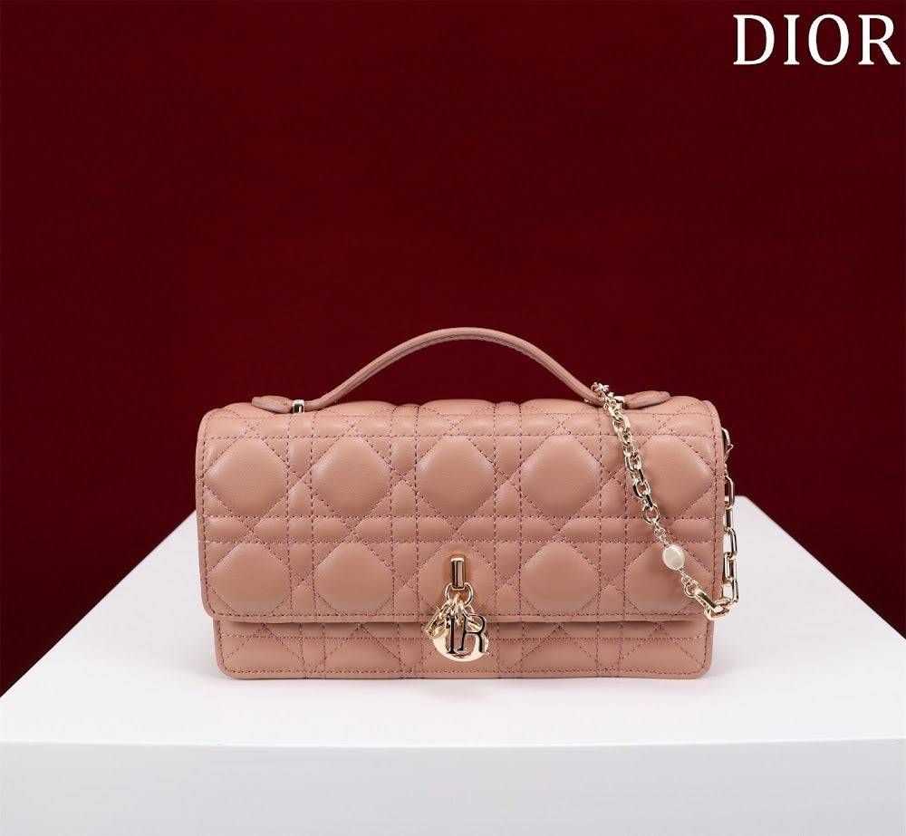 Ezyycart Bags Diorn Luxury Bag --116233