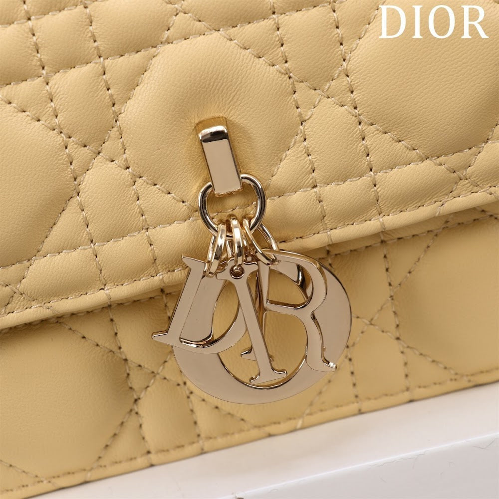 Ezyycart Bags Diorn Luxury Bag --116293