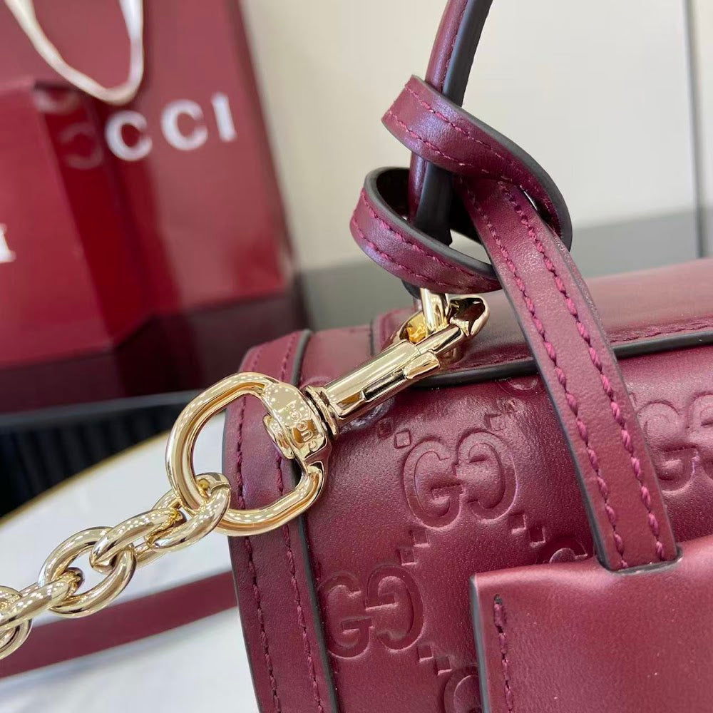 Ezyycart Bags Guccin Luxury Bag --94872