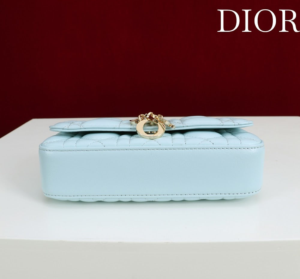 Ezyycart Bags Diorn Luxury Bag --116367
