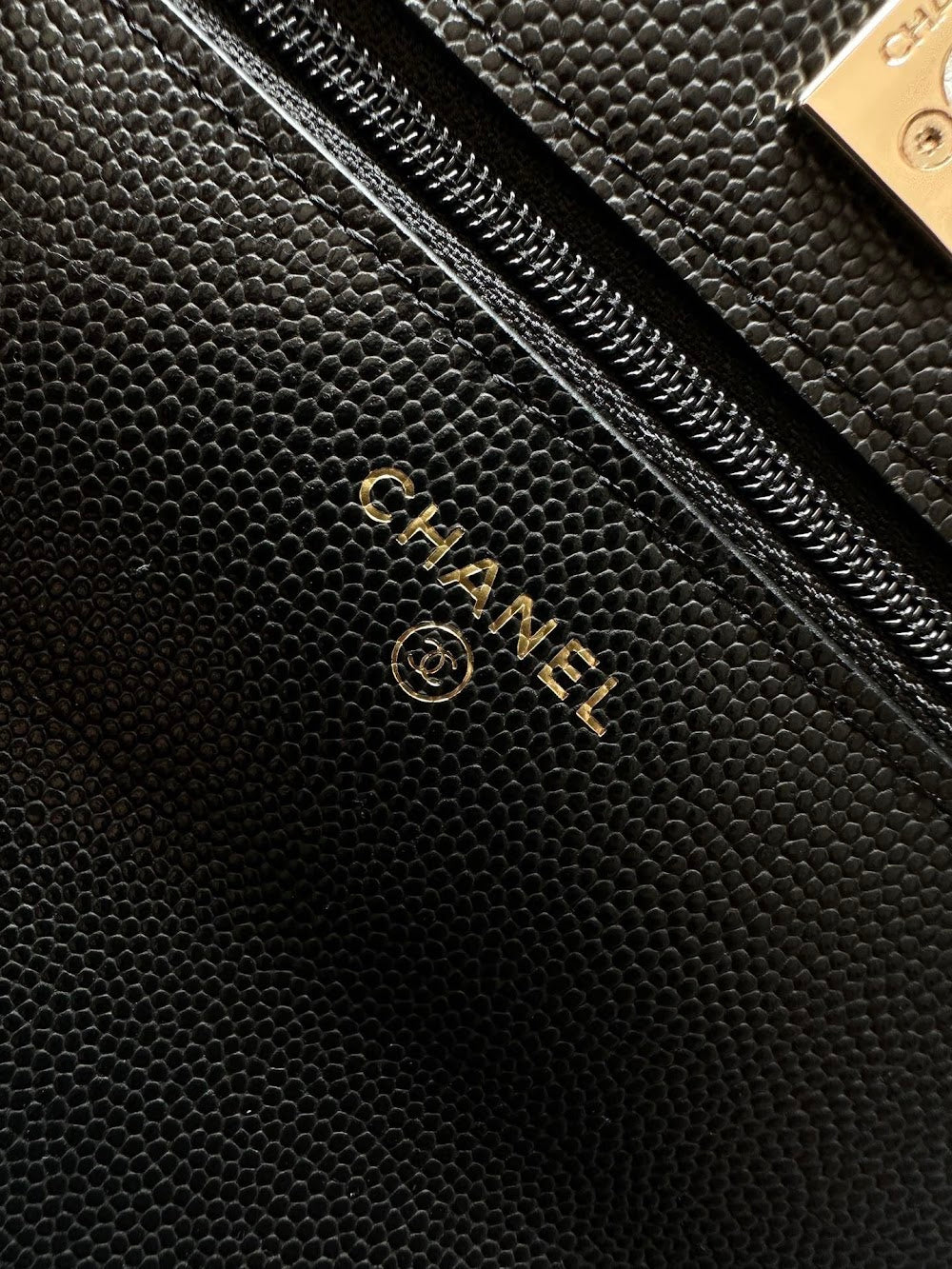Anum Bags CHn Luxury Bag --112708