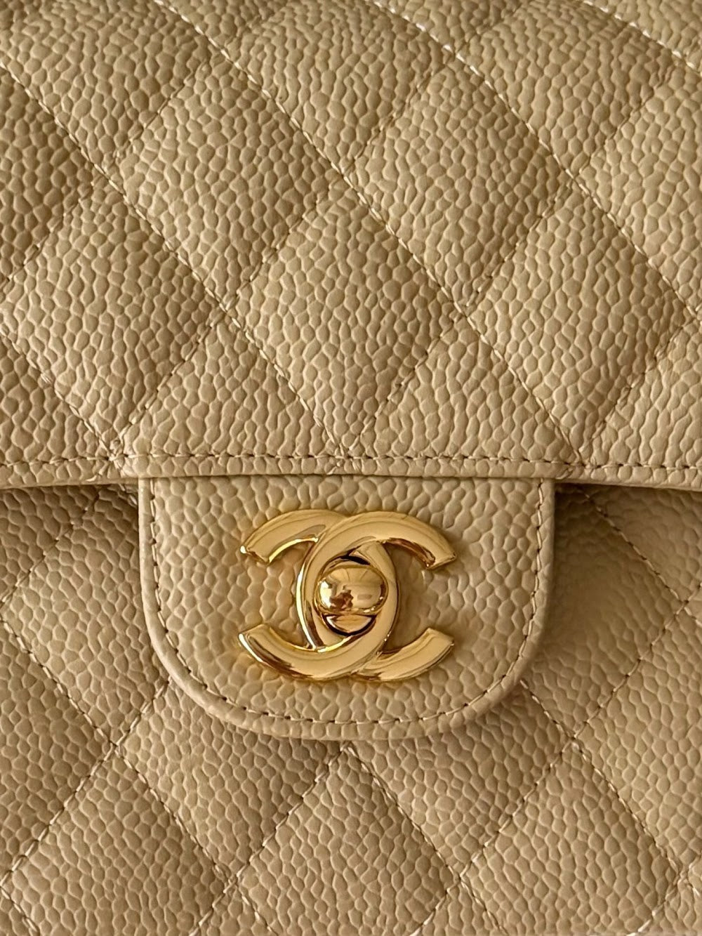 Anum Bags CHn Luxury Bag --114028