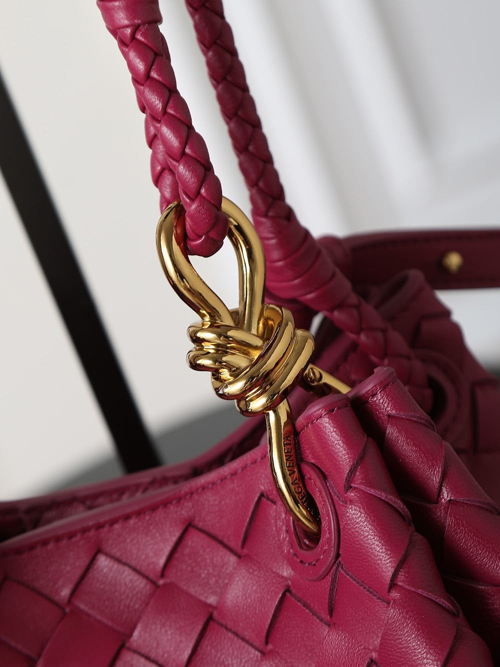 Ezyycart Bags Bottegan Luxury Bag --91363